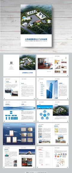 新能源企業(yè)畫冊