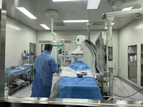 蟄伏二十載，產品全線出擊 獸醫醫療器械龍頭借A輪融資刷新紀錄，加速國產替代浪潮