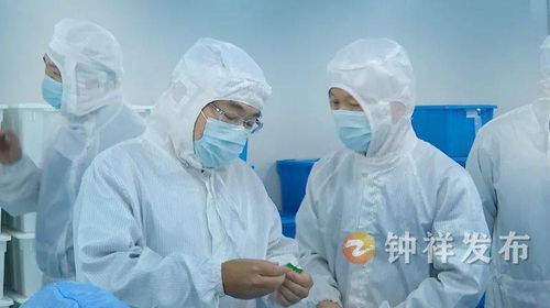 周軍帶隊赴南昌、上海開展精準招商考察 聚焦產業升級與項目合作