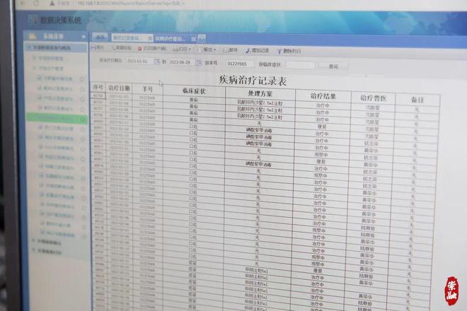 探尋真正的崇明白山羊 品種特征與養殖中的獸醫器具應用
