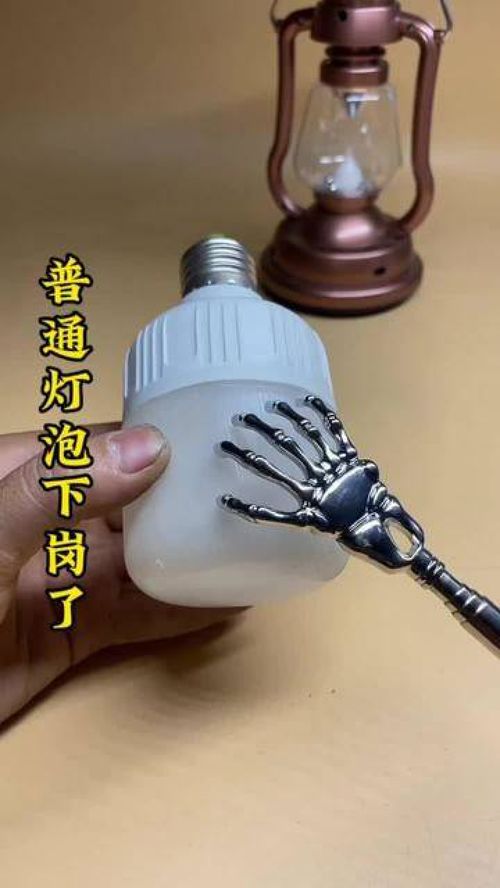 給愛(ài)寵與生活加點(diǎn)料 這些實(shí)用好物，獸醫(yī)也在用！